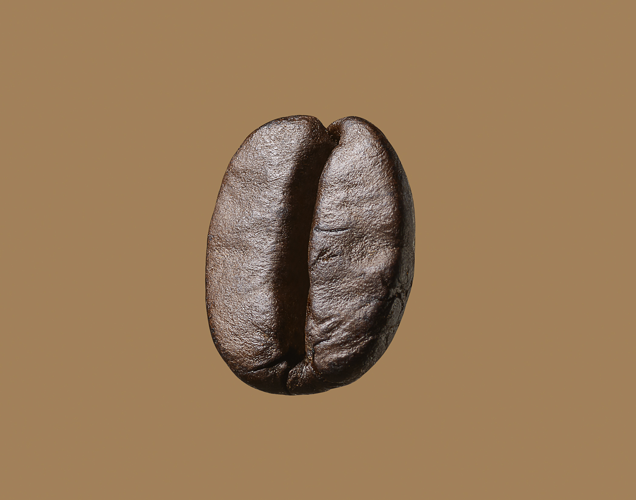 2204_JOKR_Coffee_Bean_Final_web
