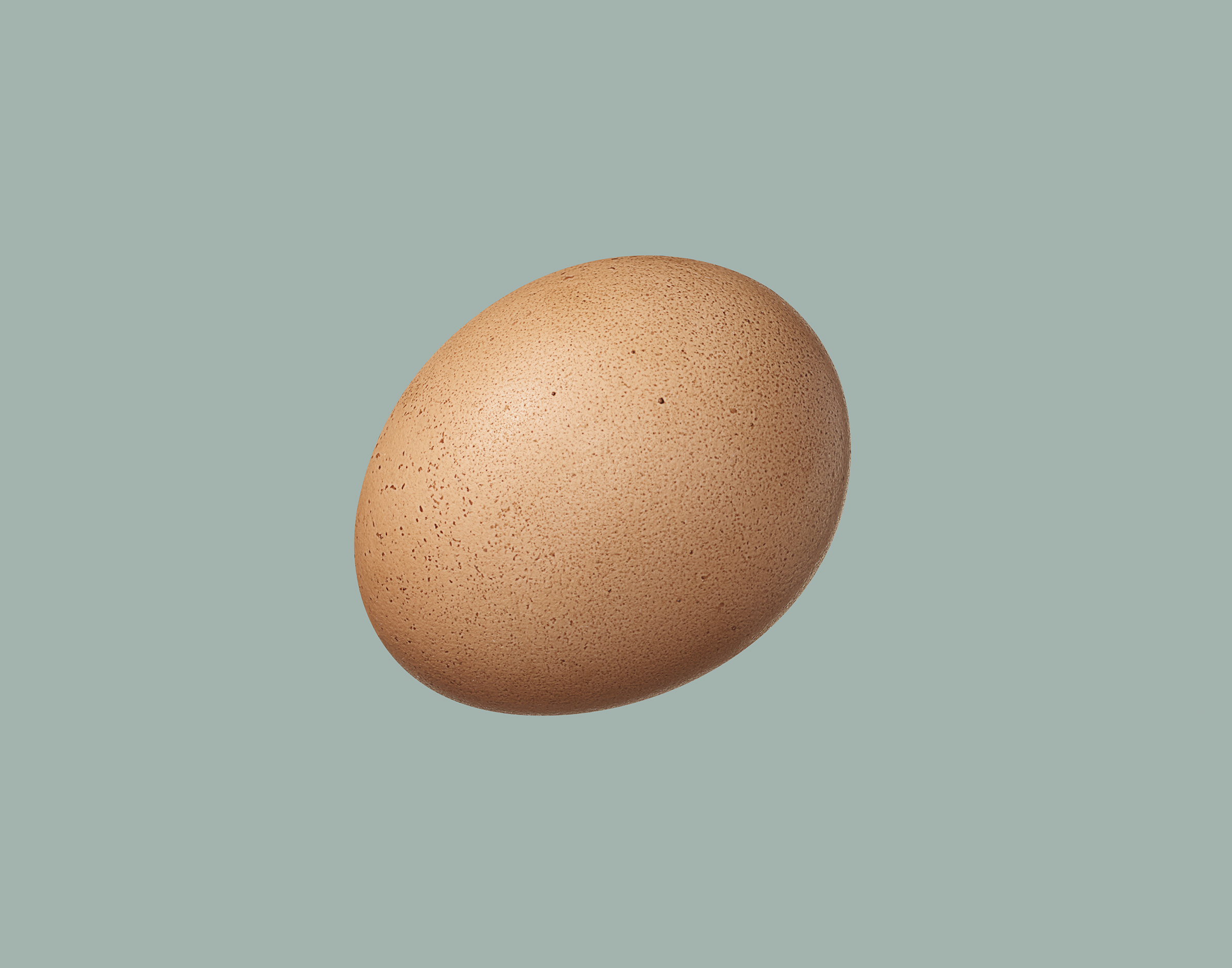 2204_JOKR_Egg_02_Final_web